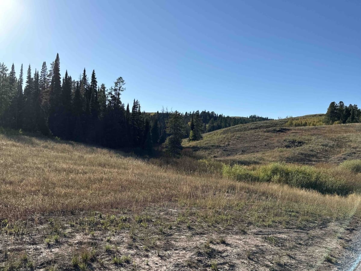 Skyline Ridge - Brockman FS 40075 photo 6