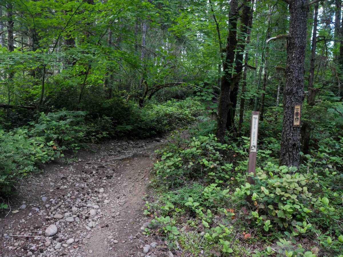 Pauls Grade trail photo