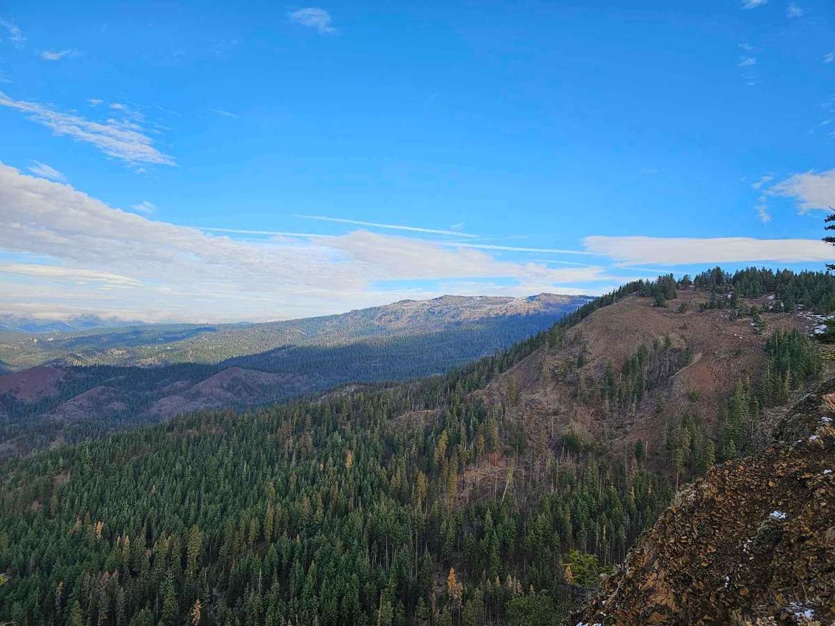 Blue Creek NF9738 photo 3
