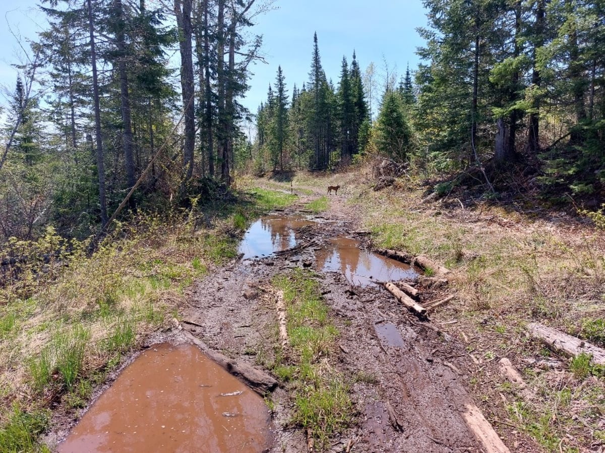 Schlatter Lake photo 3