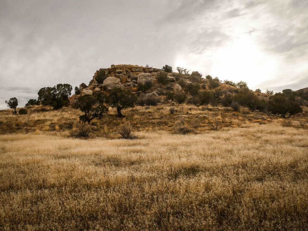 Trail 5 photo 3