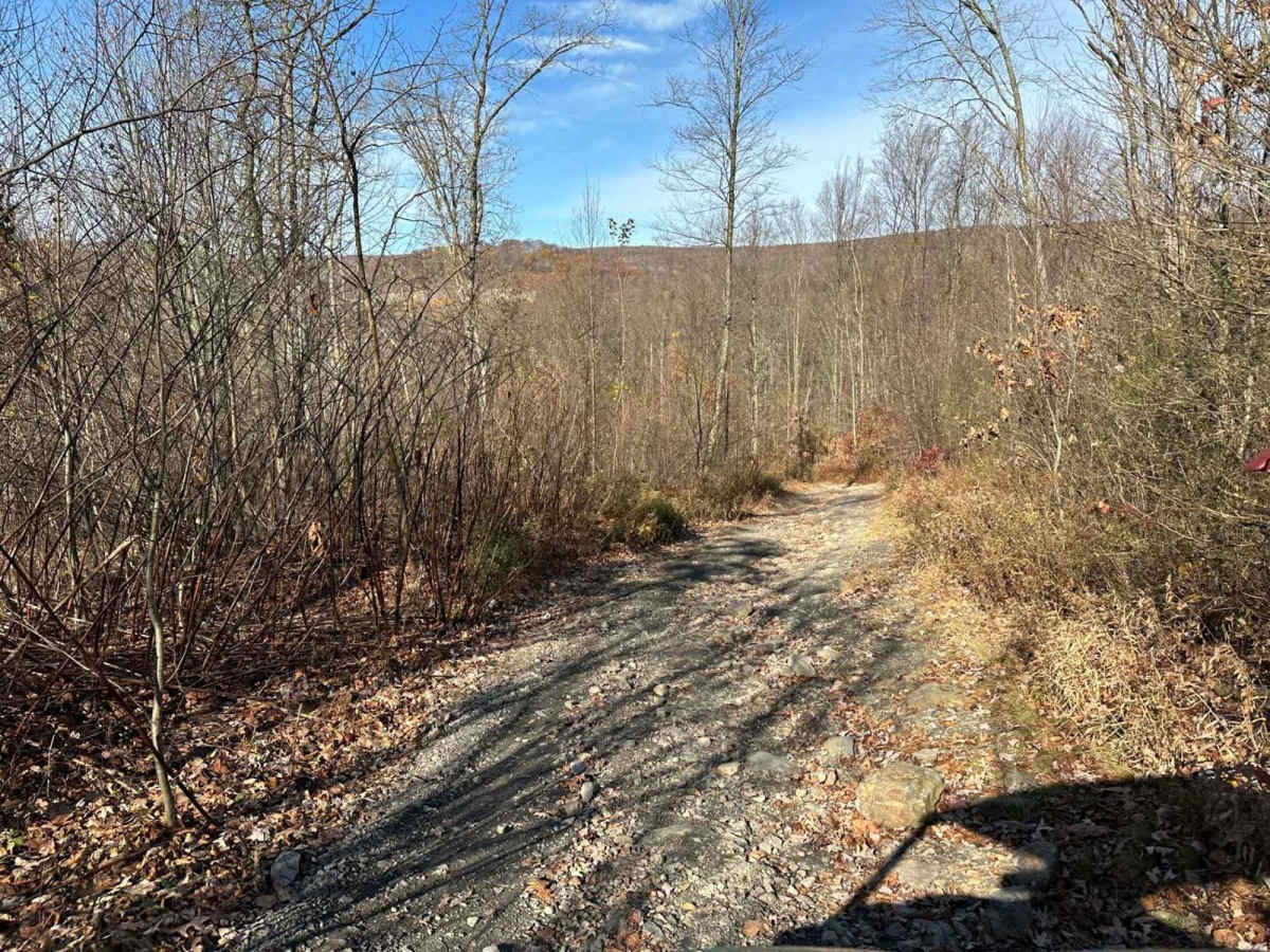 Ashland 157 photo 3