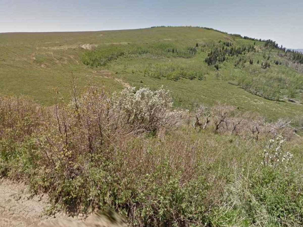 Upper Basin Road photo 4