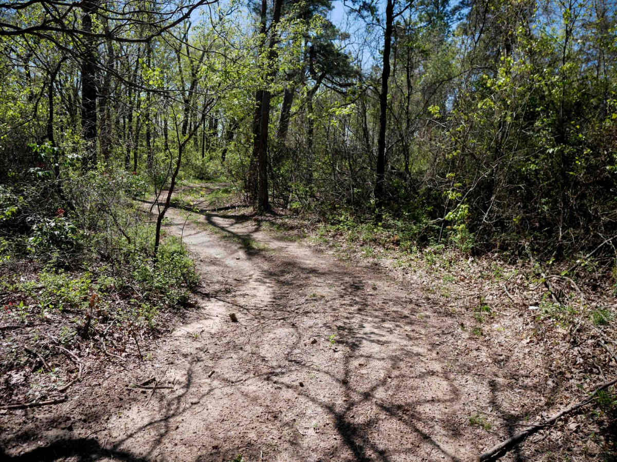 Brock 50 trail photo