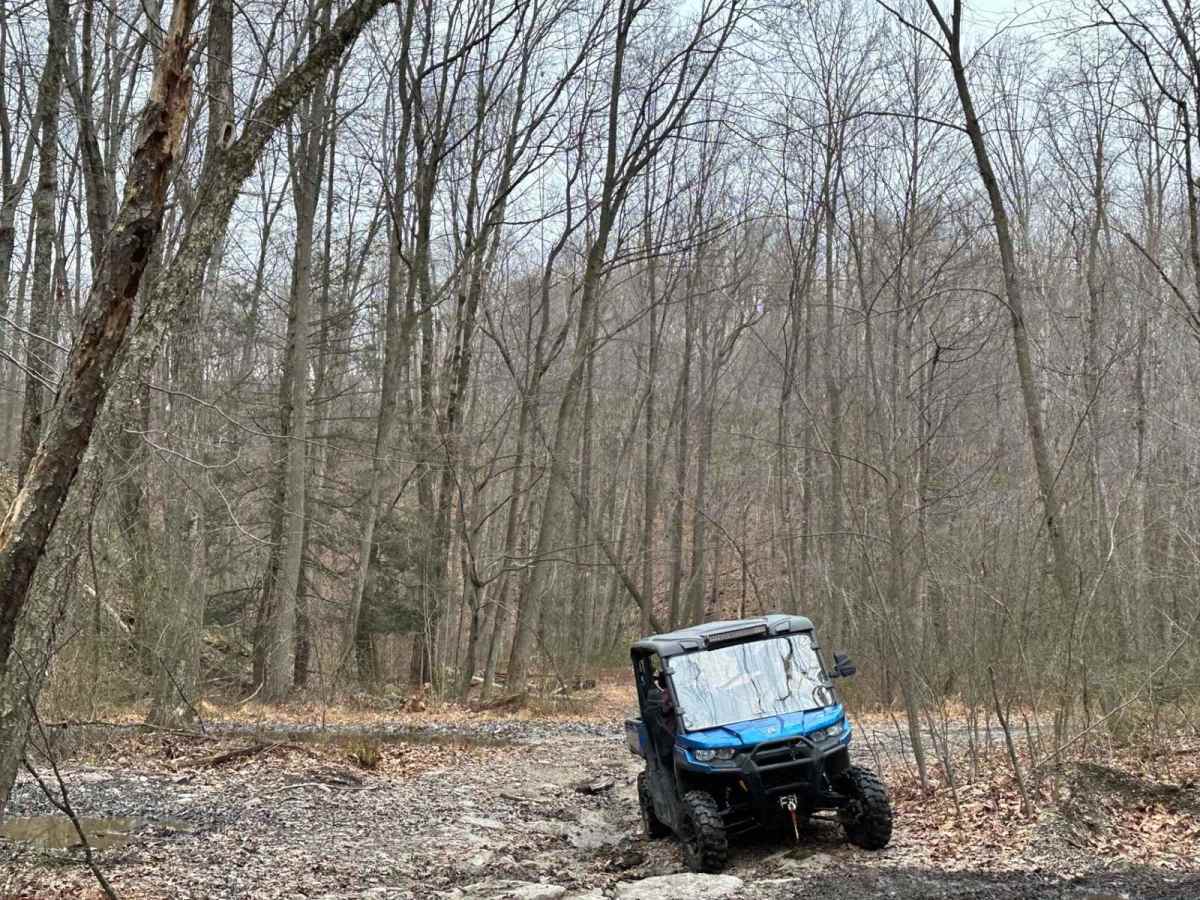 Locust Gap 21 photo 3