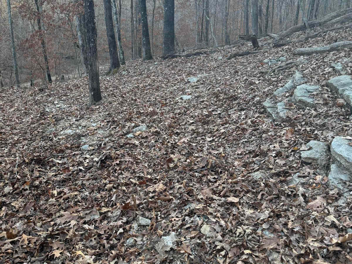 Green 268 trail photo
