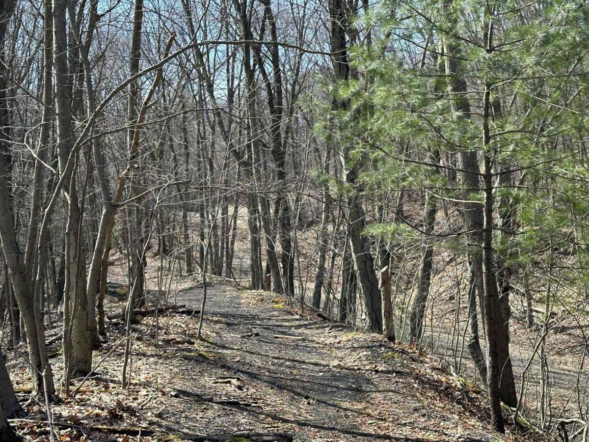 Ashland 114 photo 6