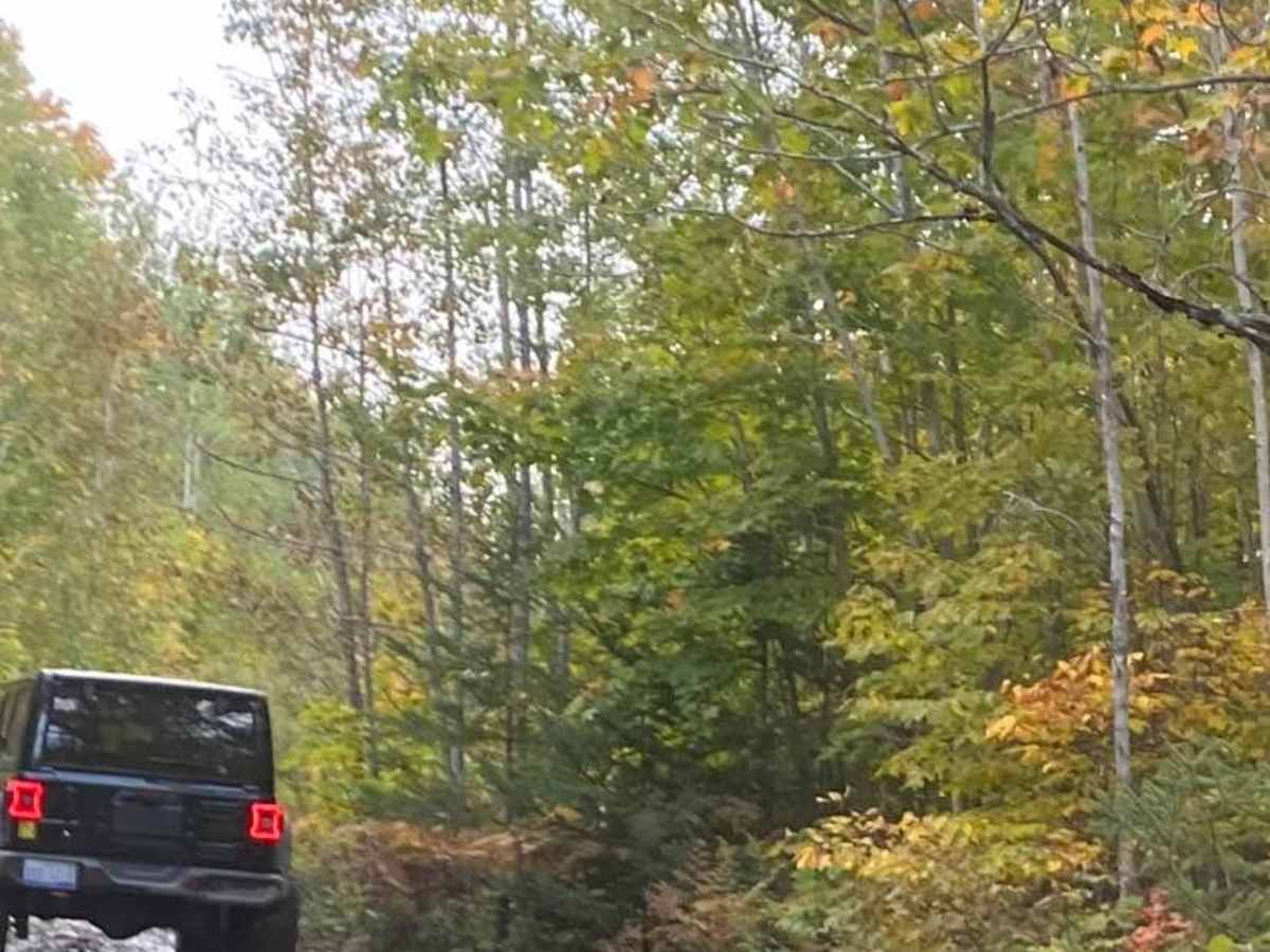 Jeep Route 9995183 photo 5