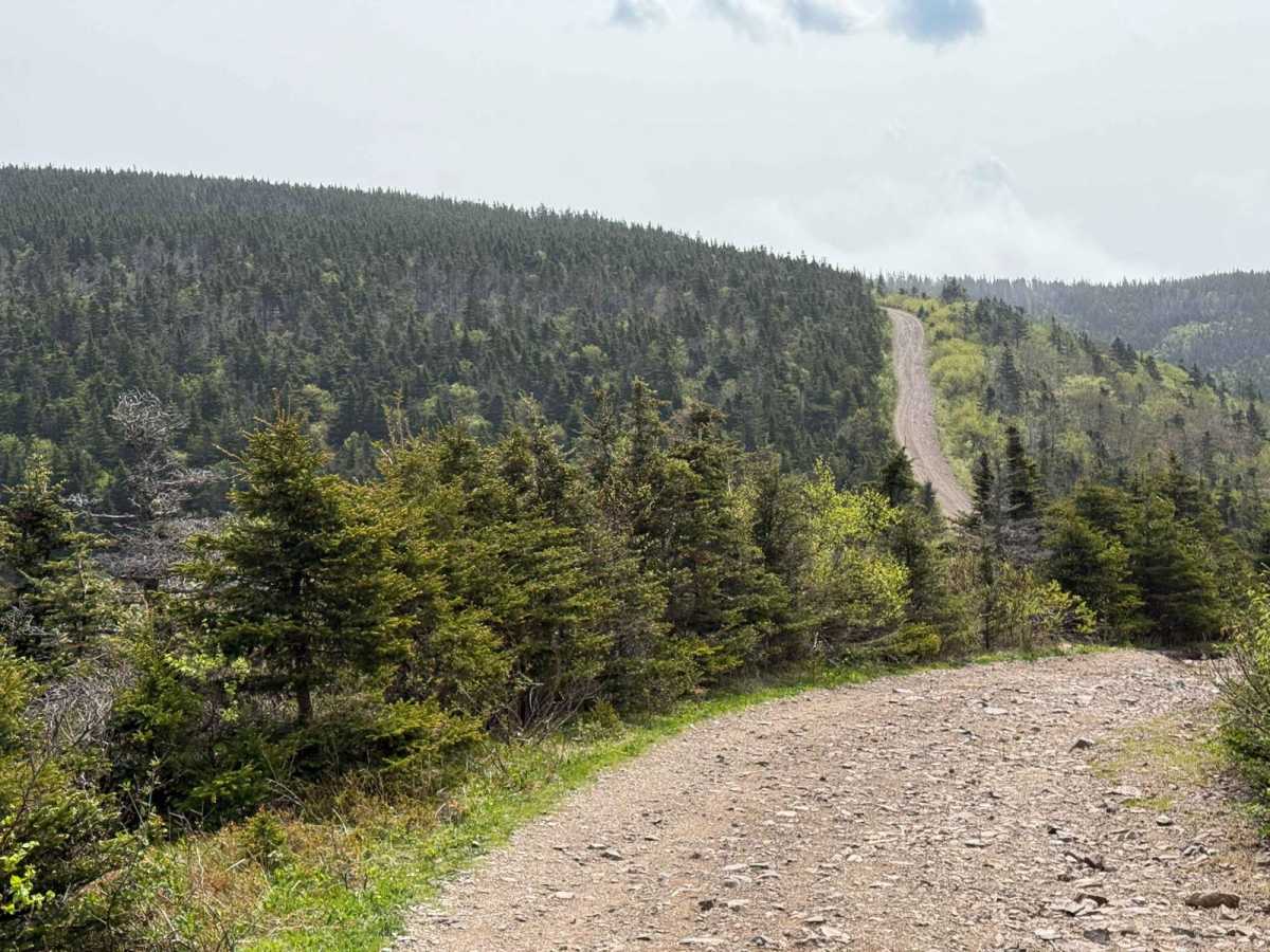6014 Road trail photo