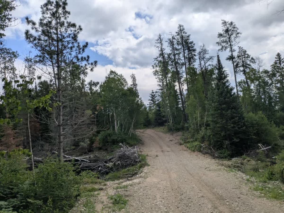 FS 248 photo 6