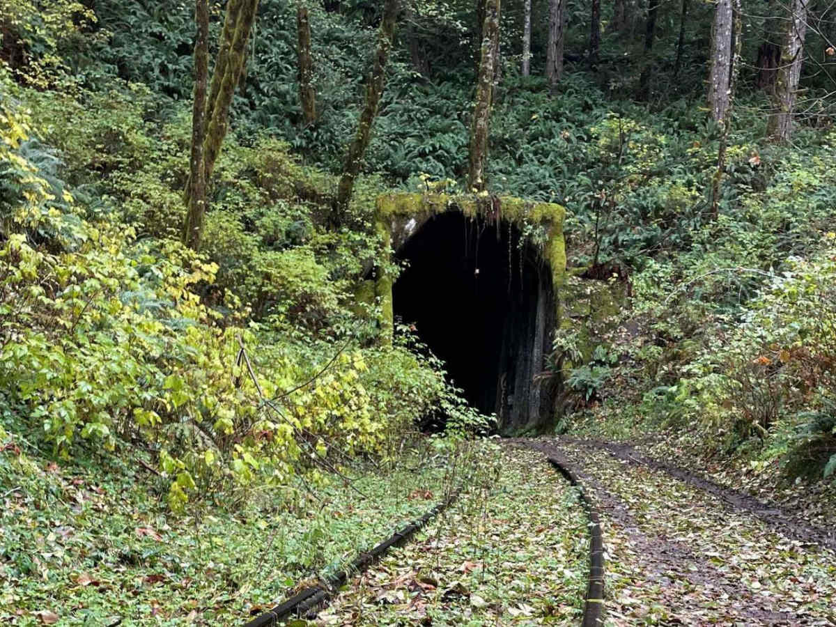 Salmonberry Railroad Tunnel Route trail photo