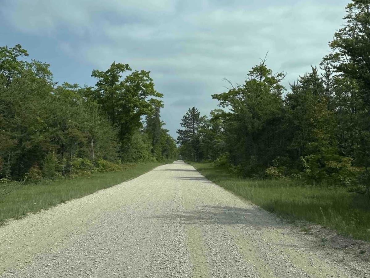FS 3139 (Dick Rd.) photo 6