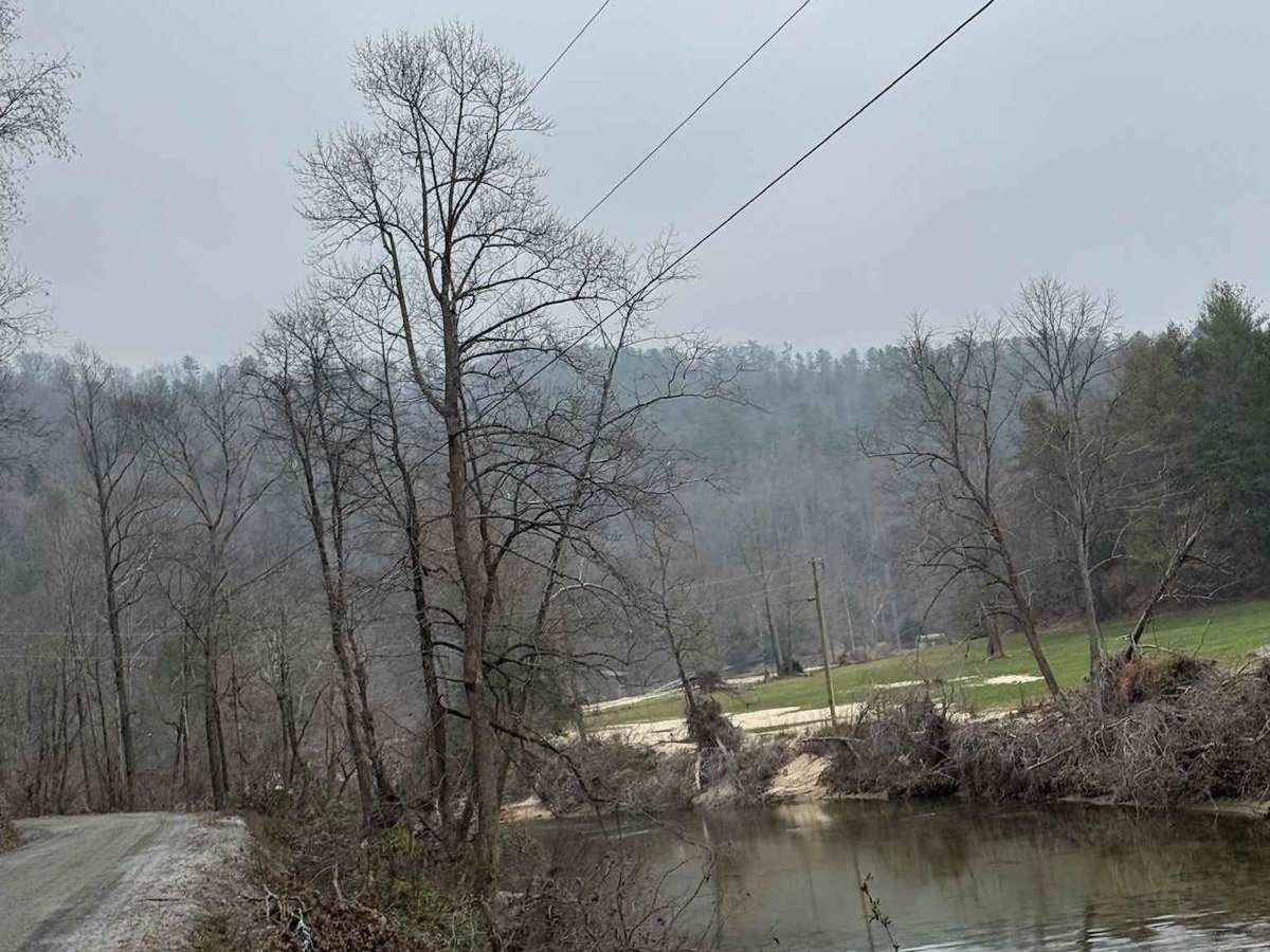 Brown Mountain Beech Road photo 2