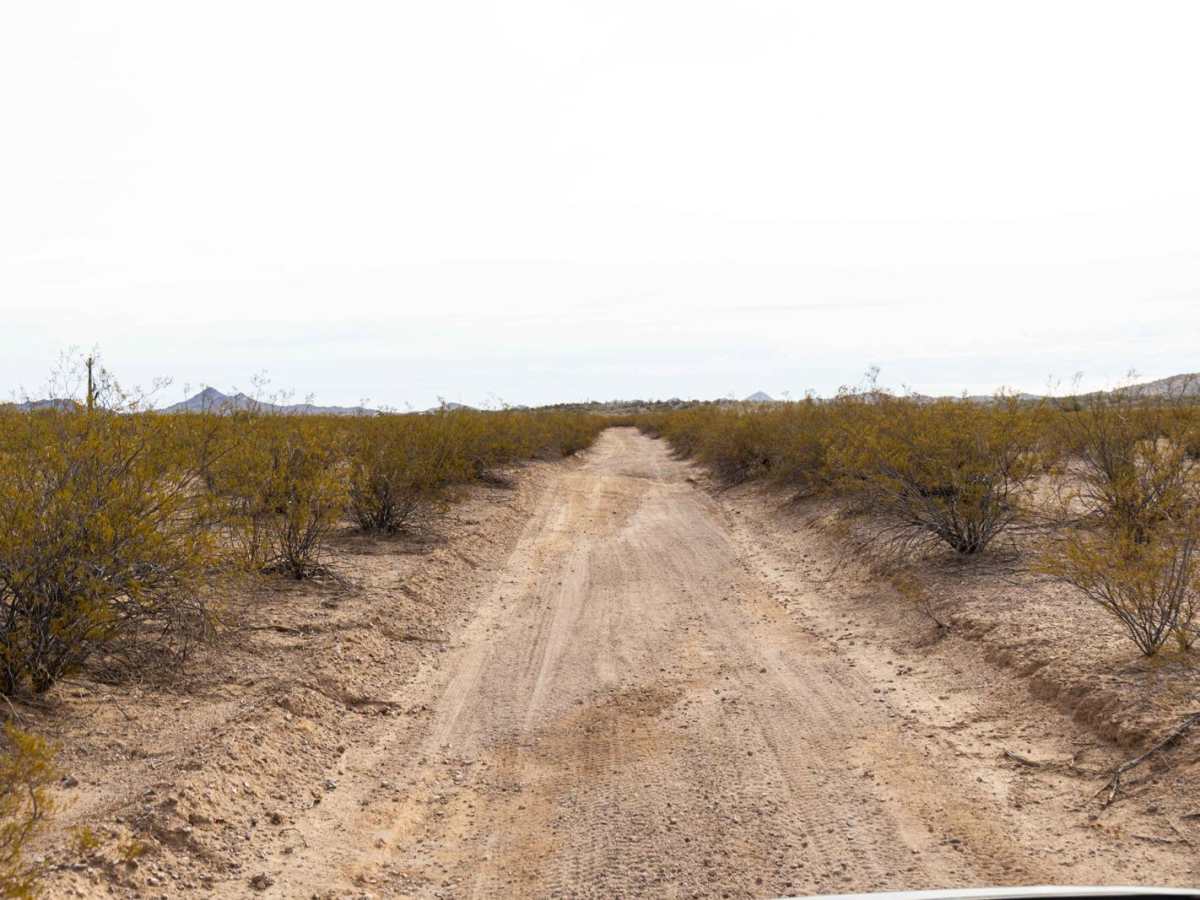 Microwave Station Road photo 4