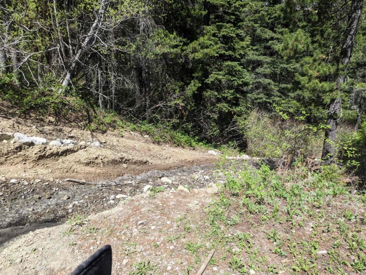 Allison creek Trail photo 6