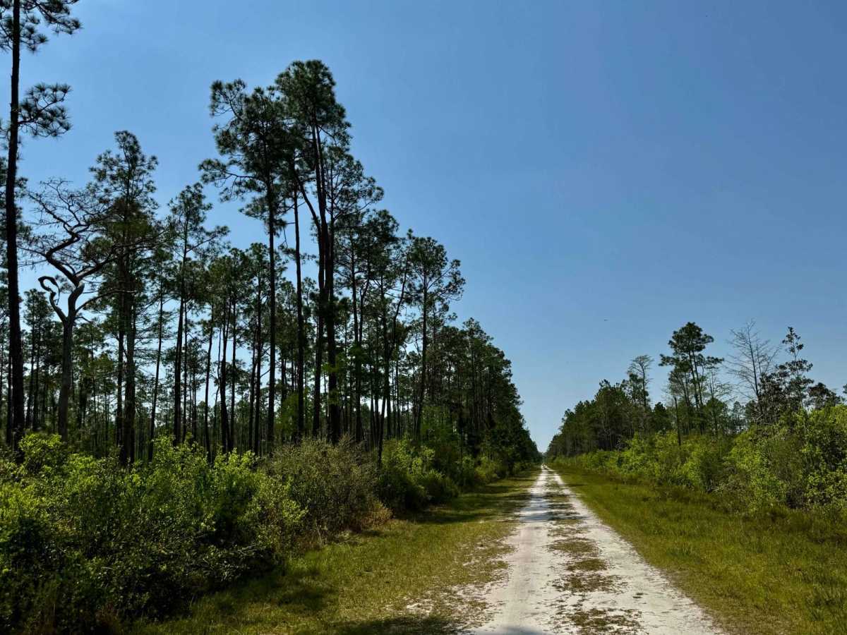 Oil Well Road - SFR 29 photo 3
