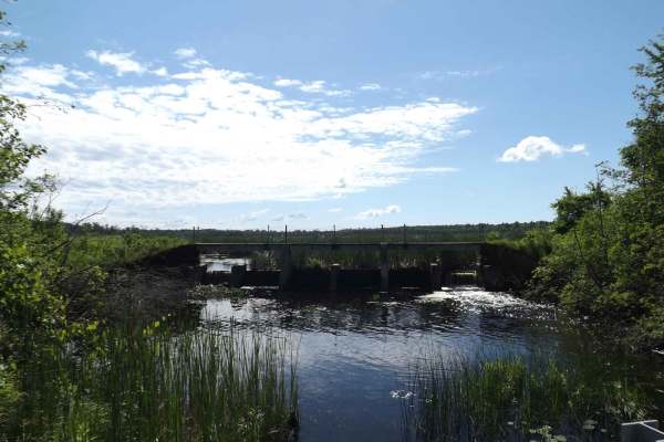Floodwood Swamp Reservoir