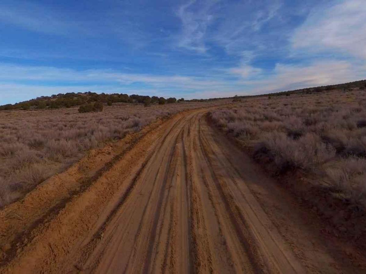 BLM100 trail photo