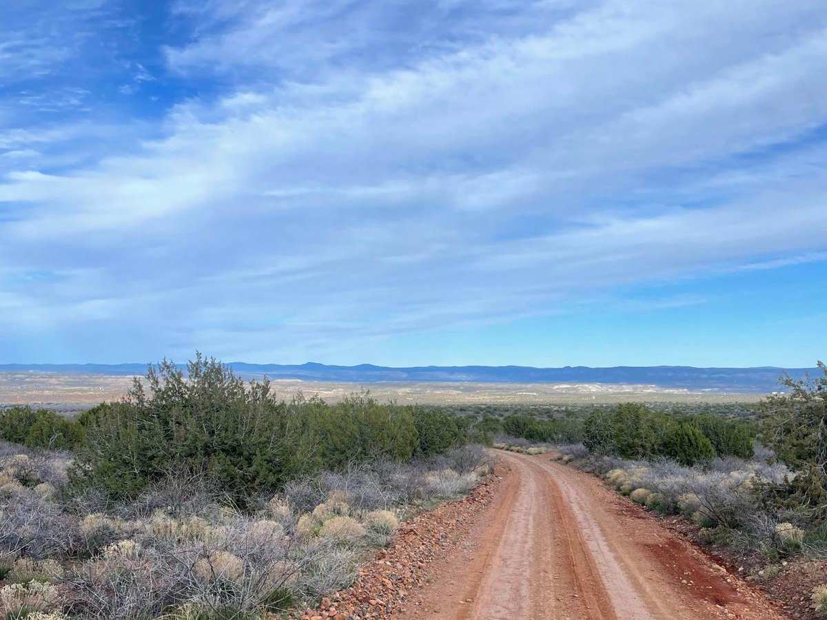 Quail Spring photo 5