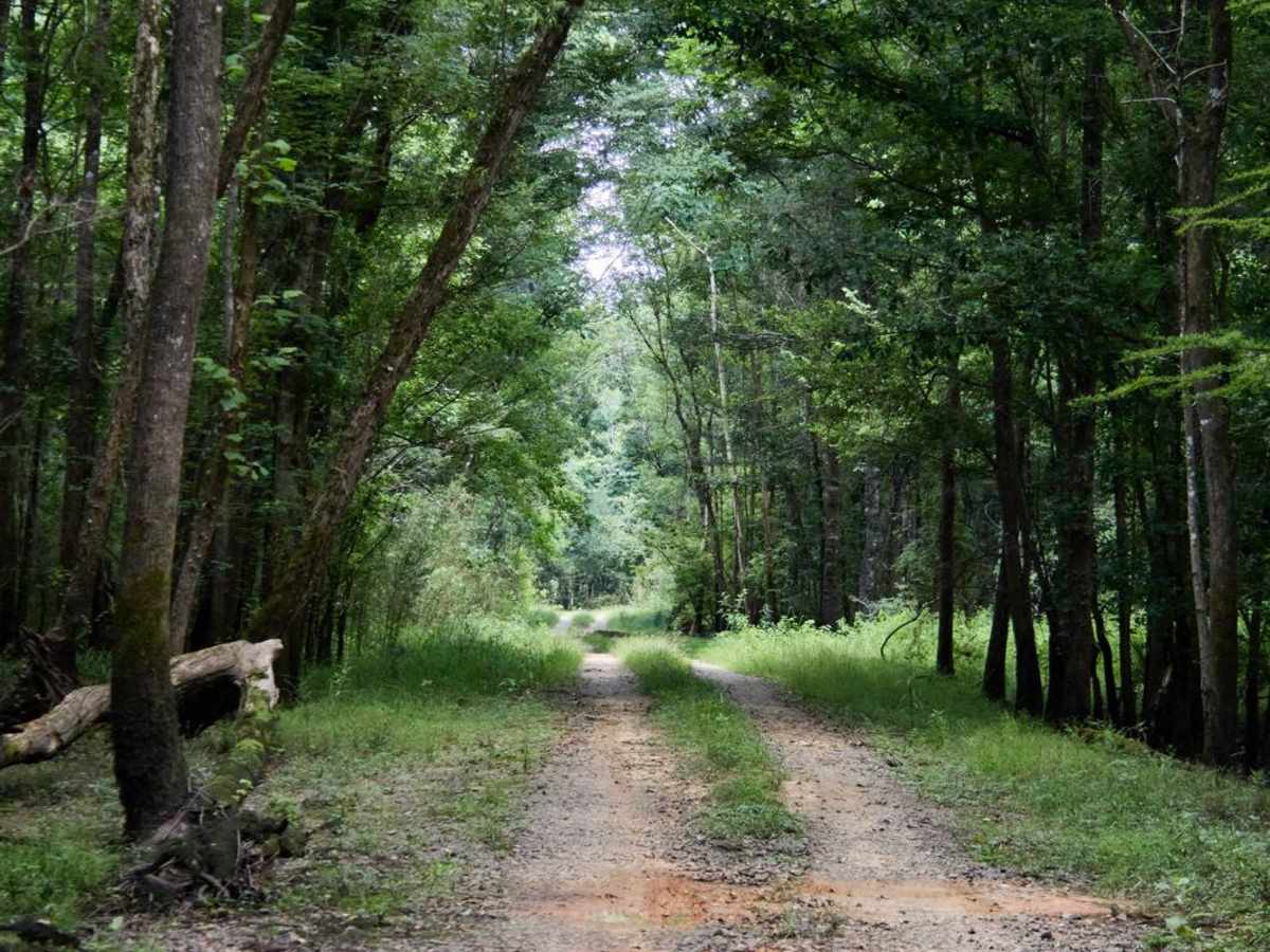 Jordan Lake Access photo 3