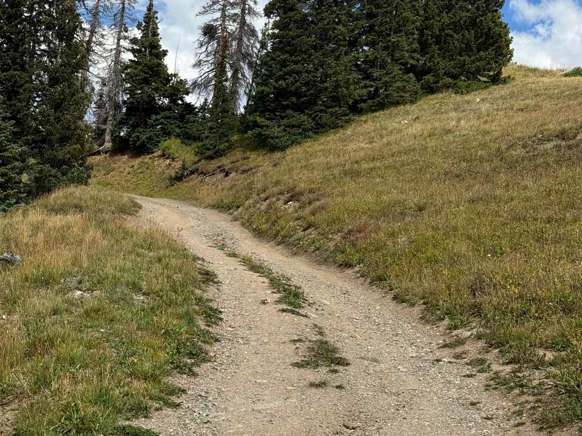 Levis Scenic Loop photo 2