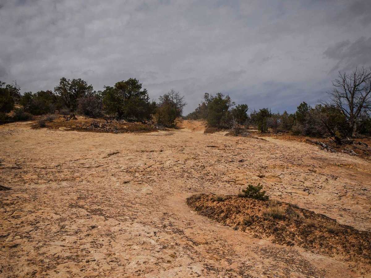 Whisker Spur trail photo
