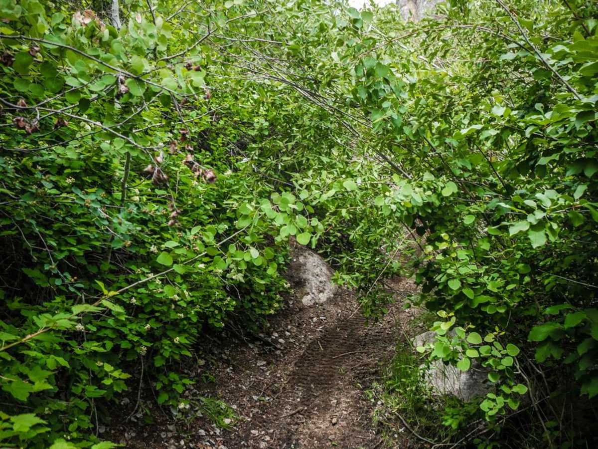 302 photo 4