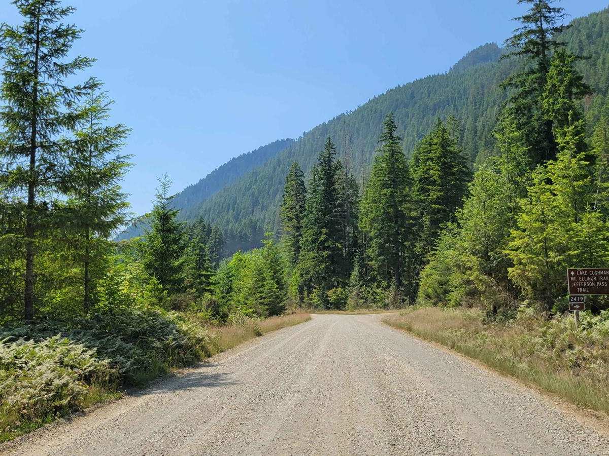 NF 24 - Jorsted Creek photo 5