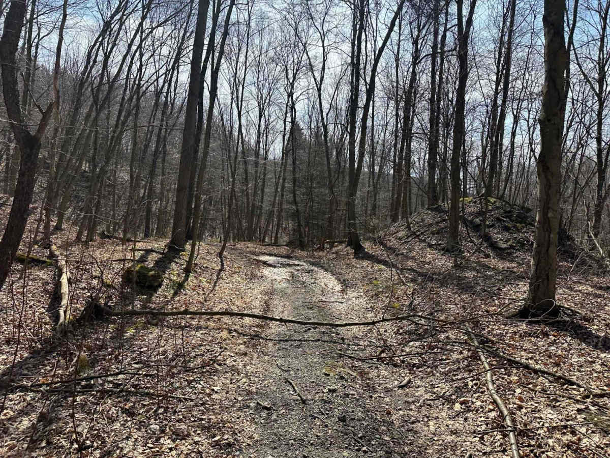 Ashland 175 trail photo