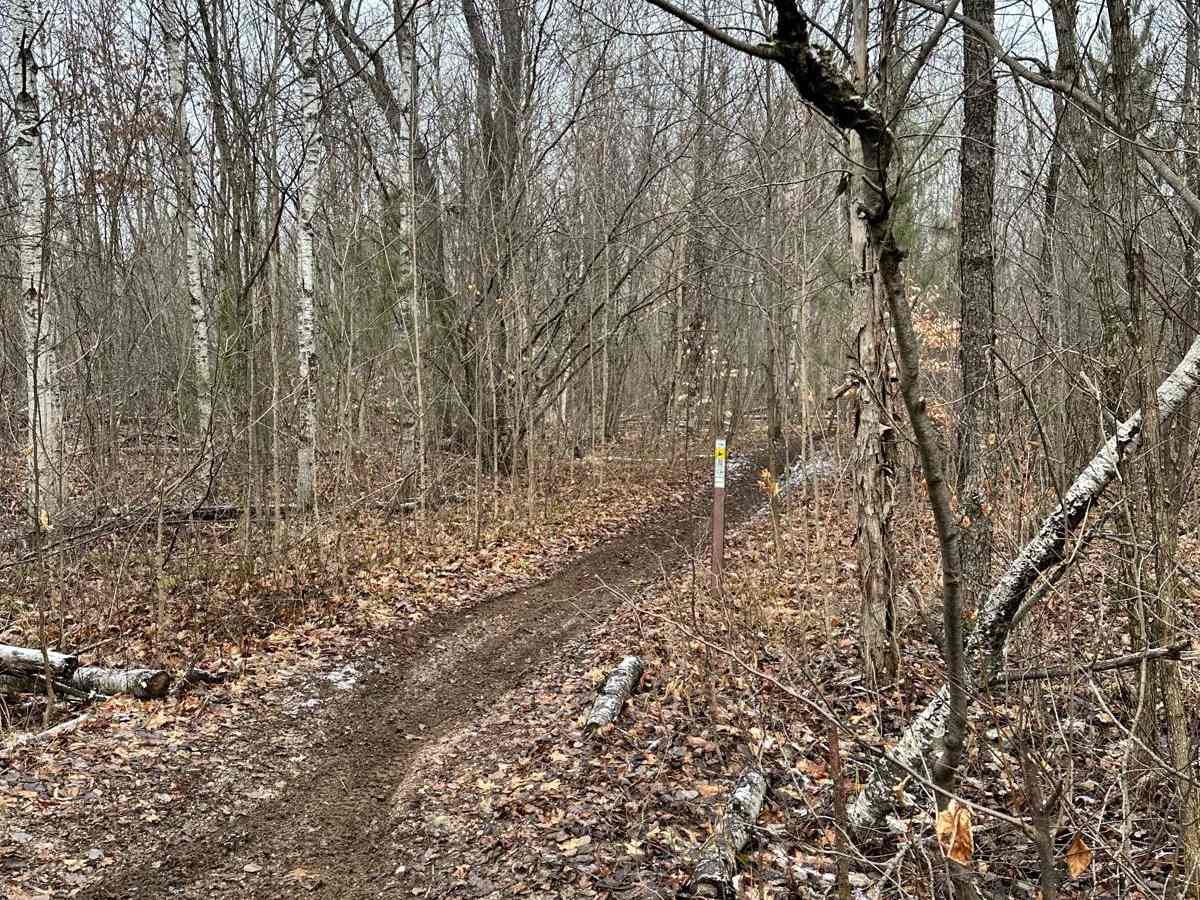 Tomahawk Motorcycle C Loop photo 6