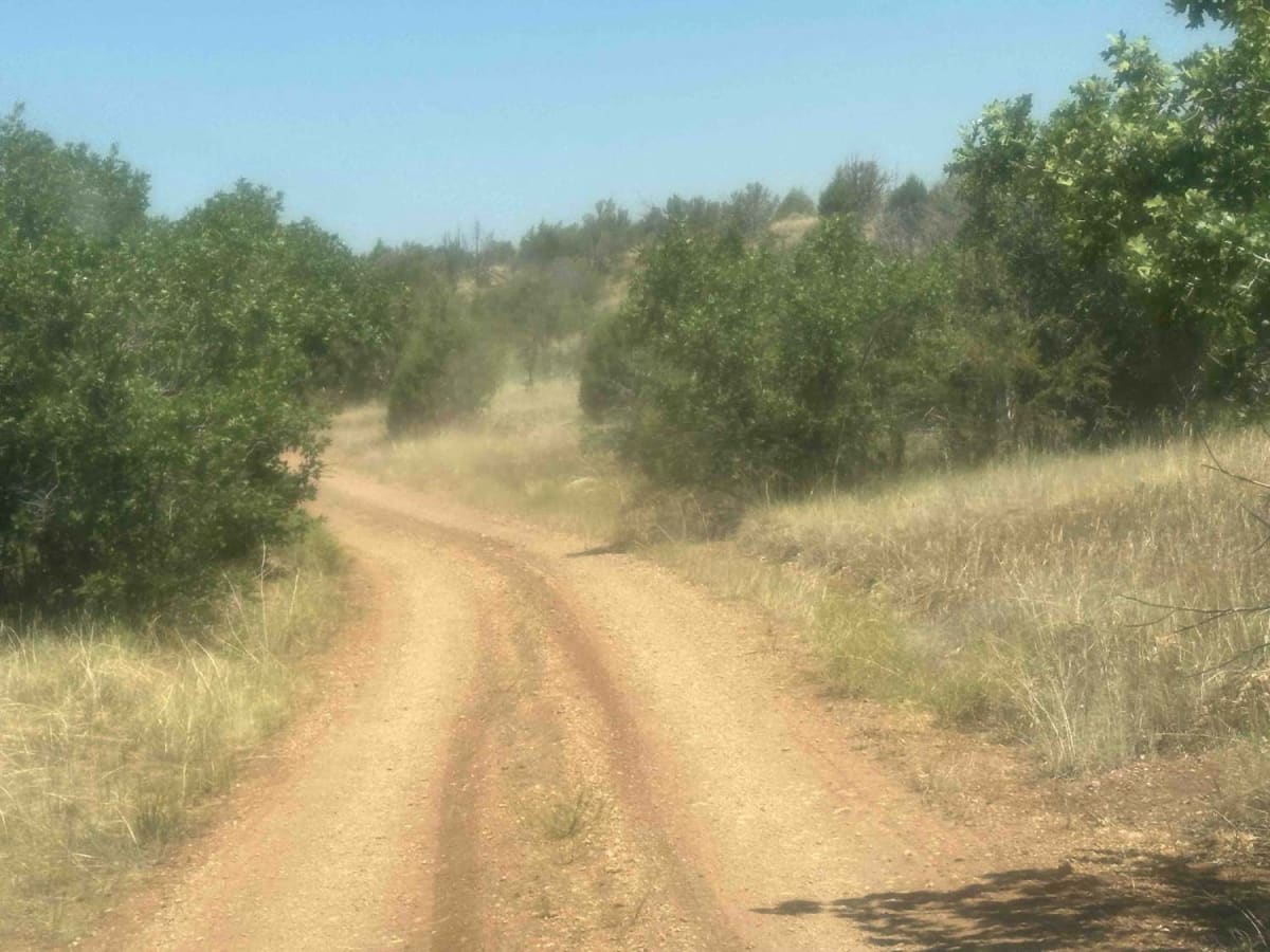 Pine Flat photo 3
