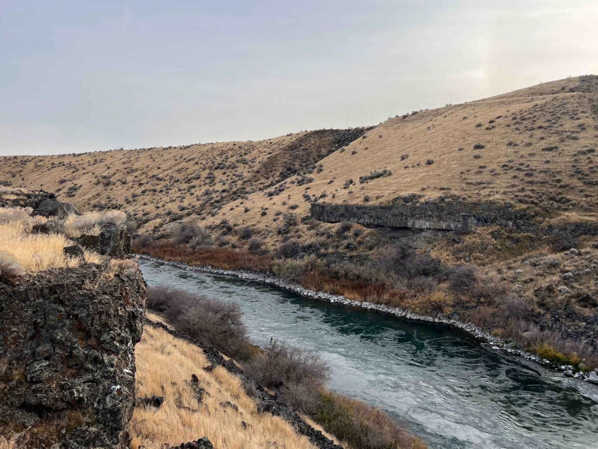 Snake River Grassy Trail trail photo