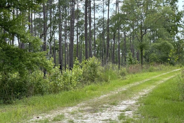 East River Road South