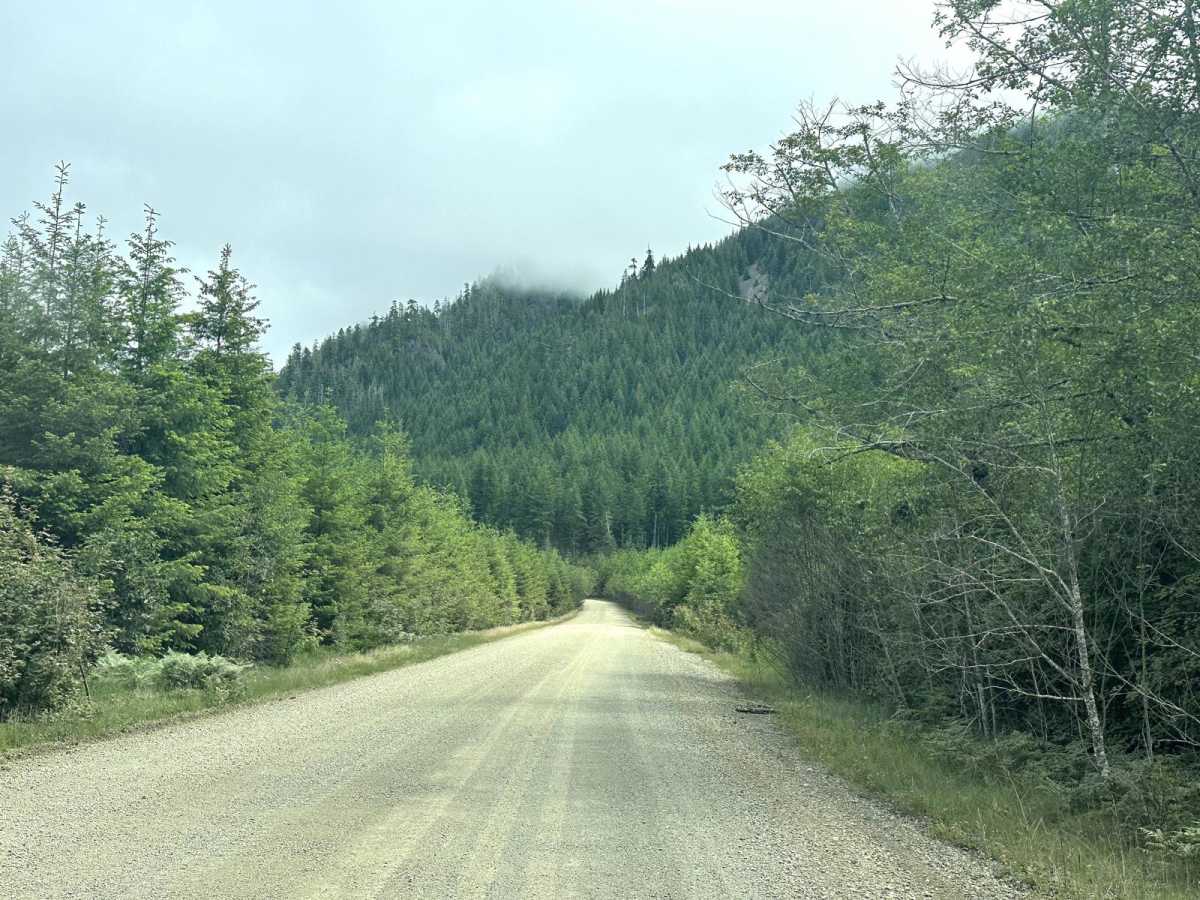 East Wynoochee Lake Trail photo 2