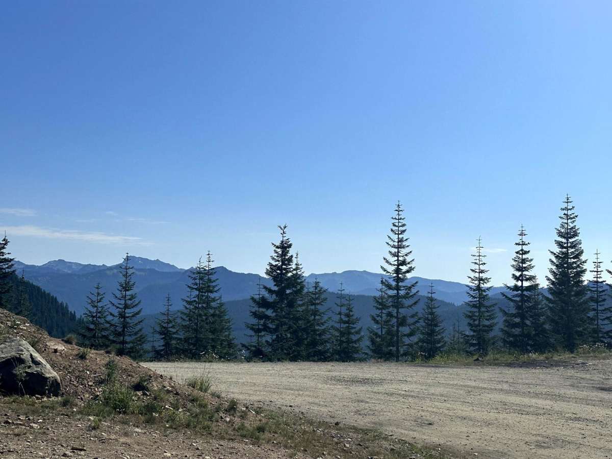 Towhead Gap Trail photo 3