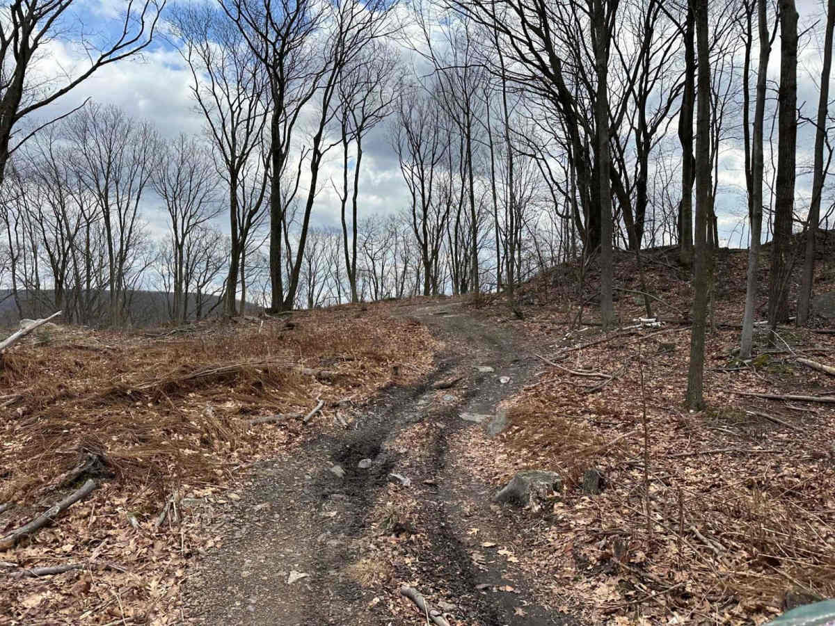 Ashland 62 Inner Loop photo 3