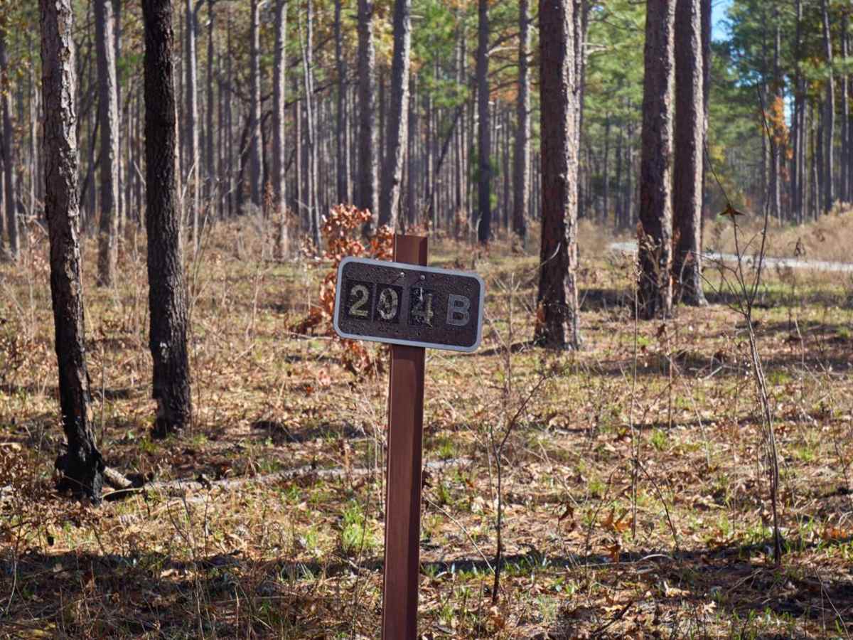 Chicken Creek Access - FSR 204B photo 6