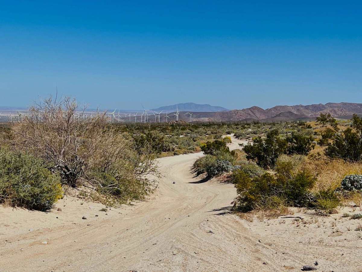 San Diego and Eastern AZ Railway Run photo 5