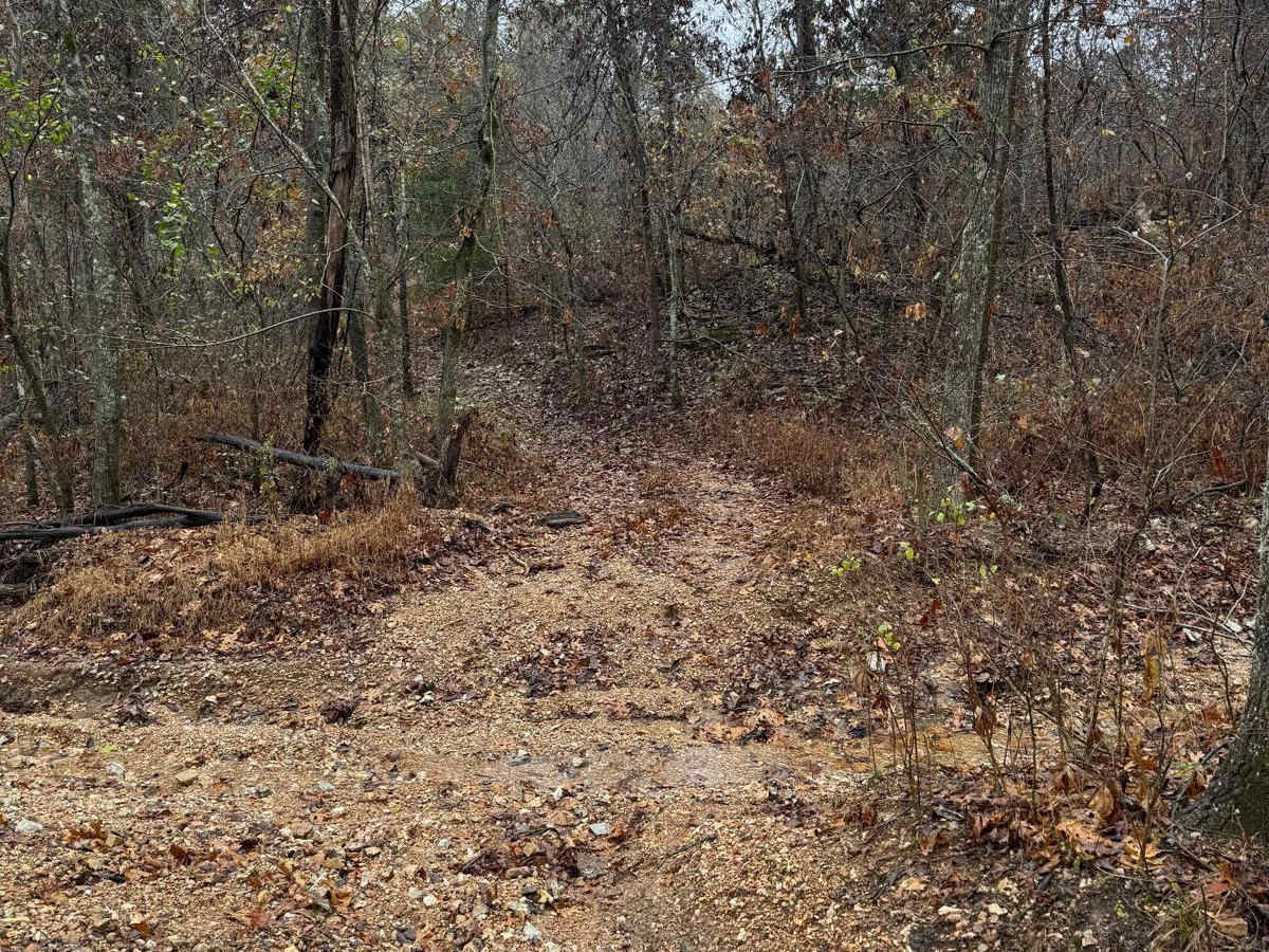 Green 76 trail photo