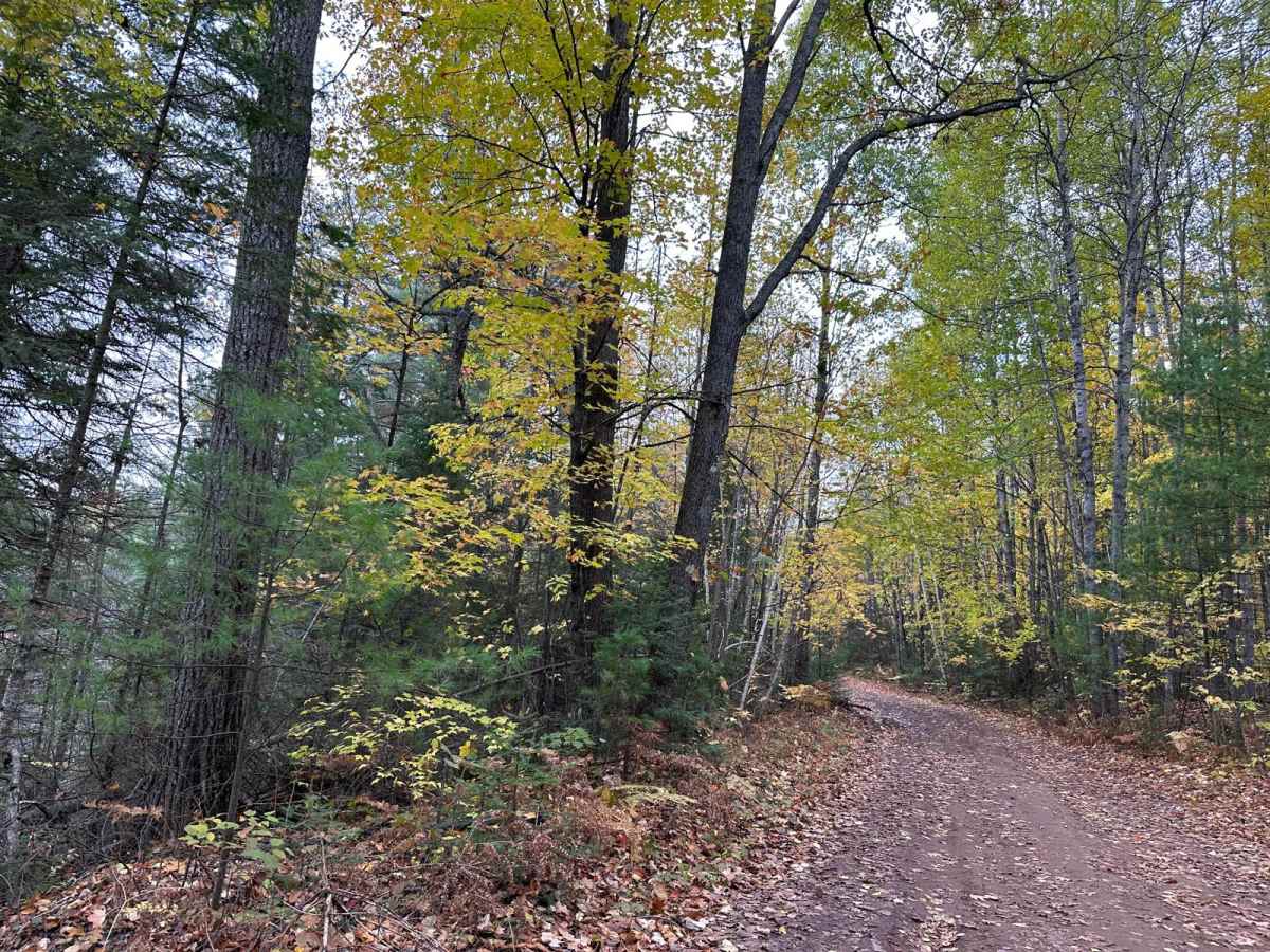 Hemmings Lake Road photo 5