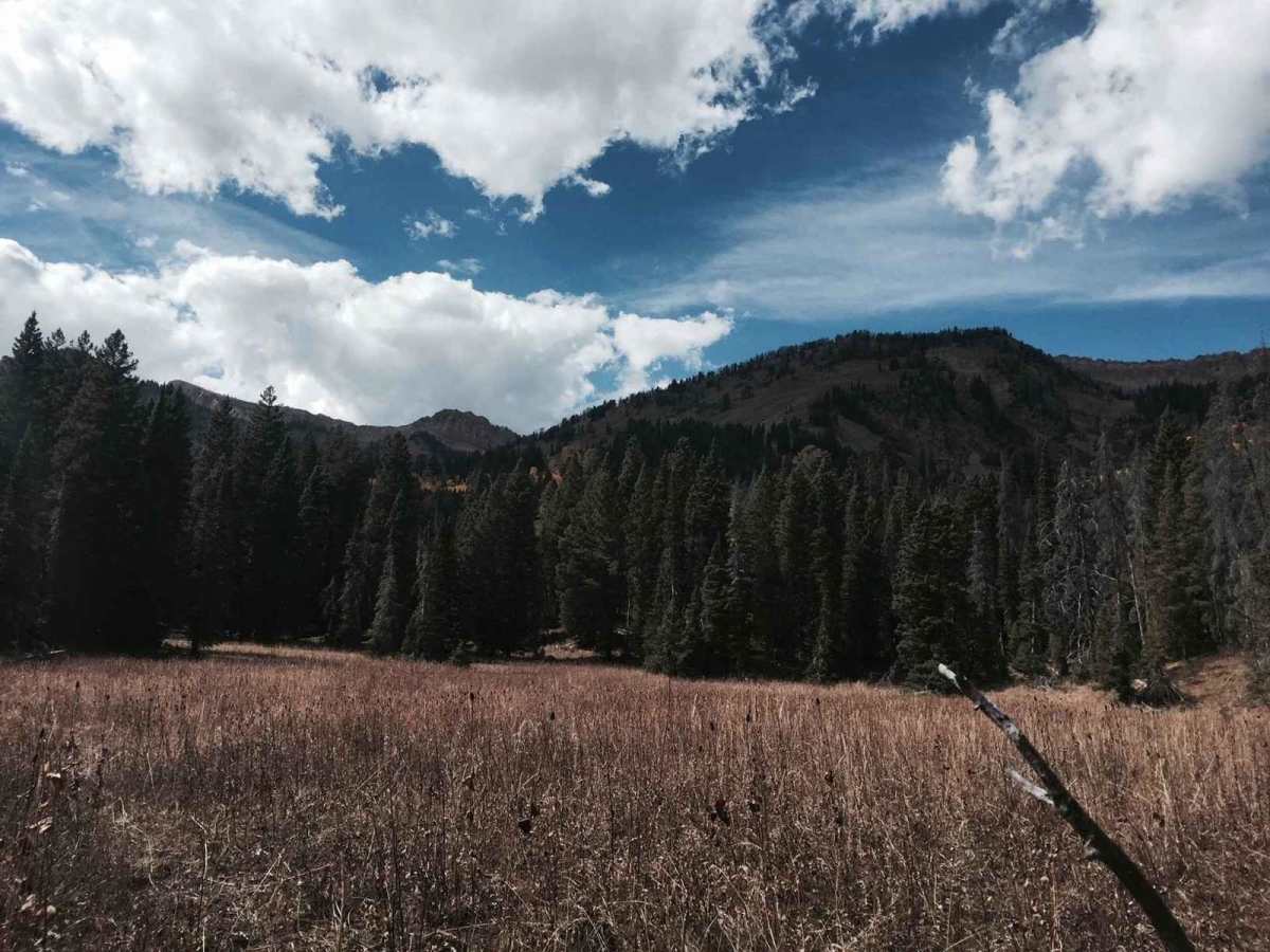 Cliff Creek - 30530 photo 2