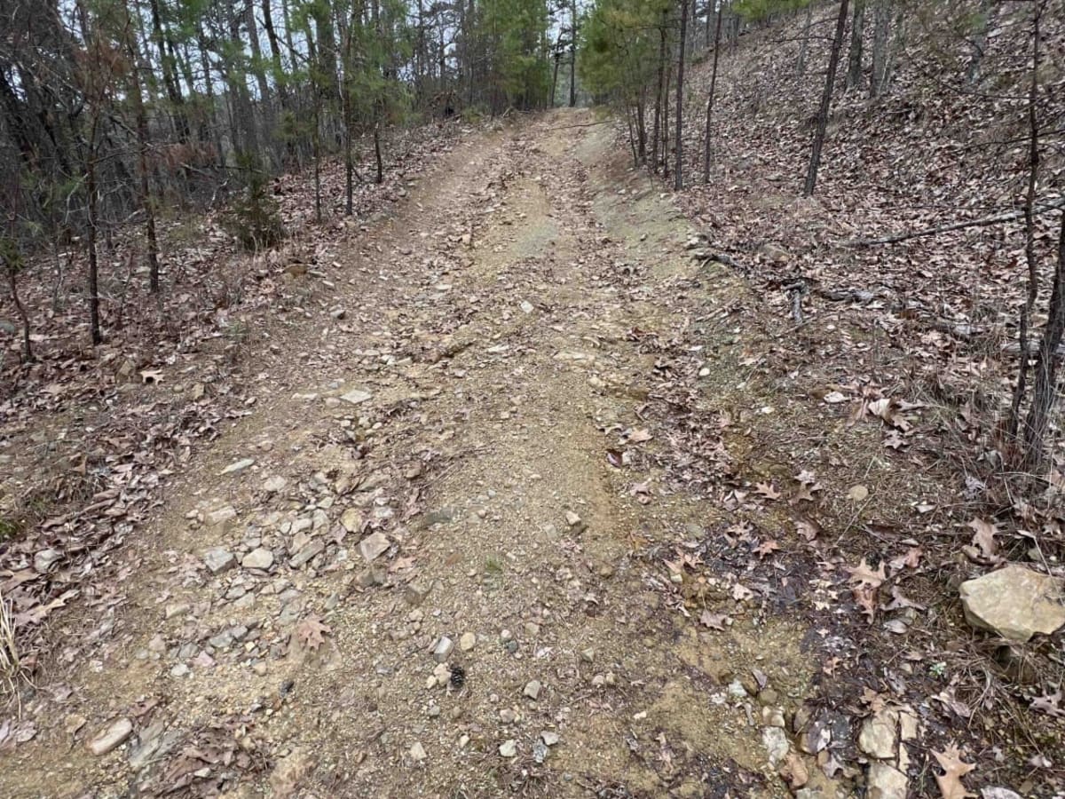 Bear Creek Mountain Road 773 photo 6
