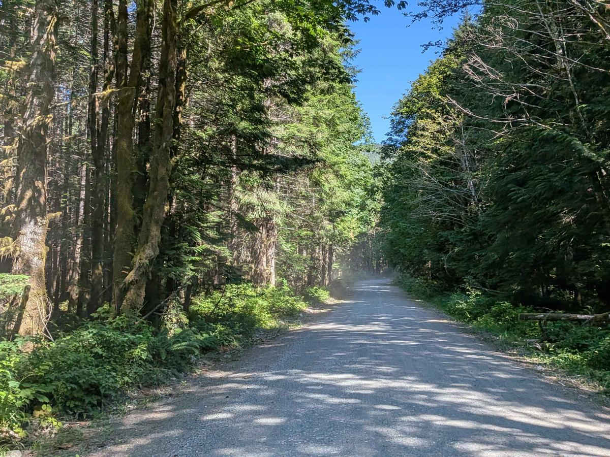 Gold River Road photo 2