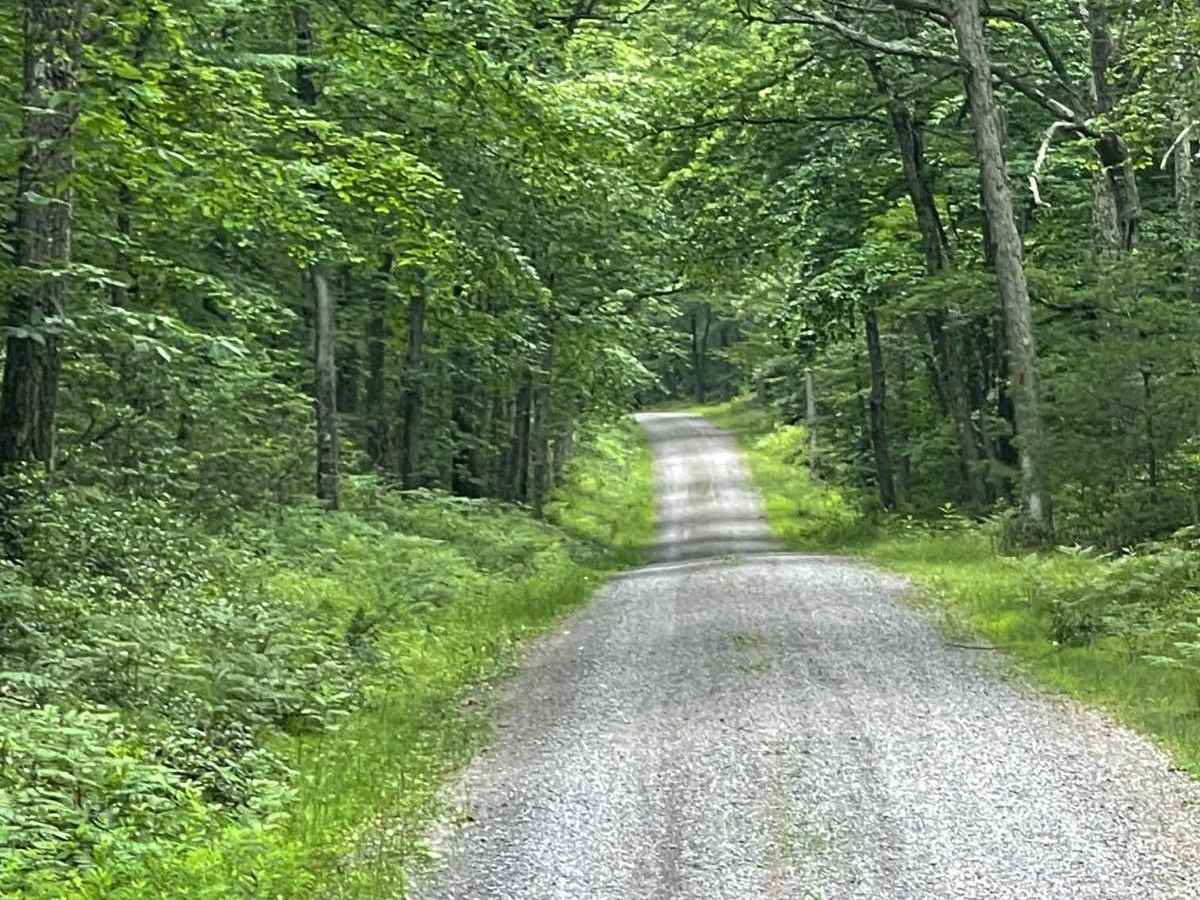 Krape Road photo 2