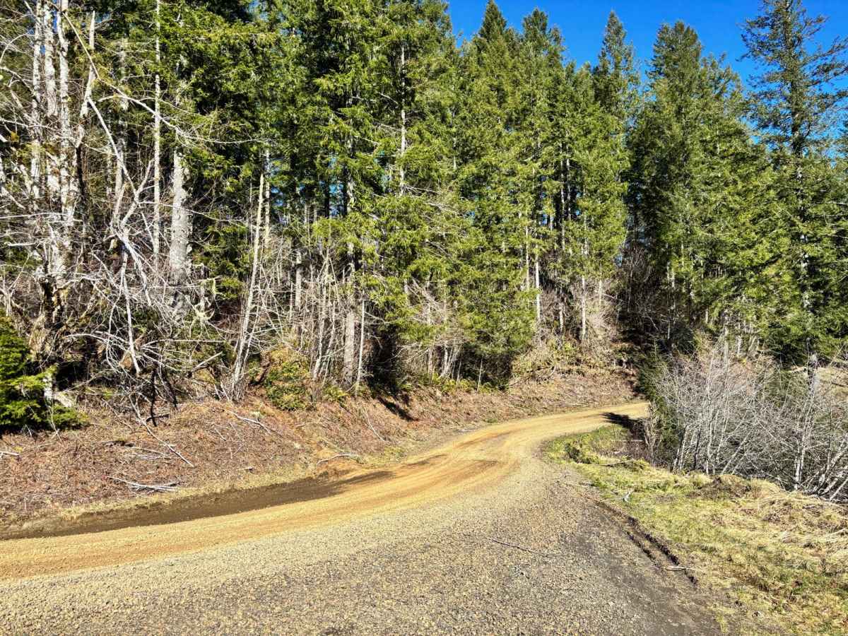 Muesial Creek Road photo 4
