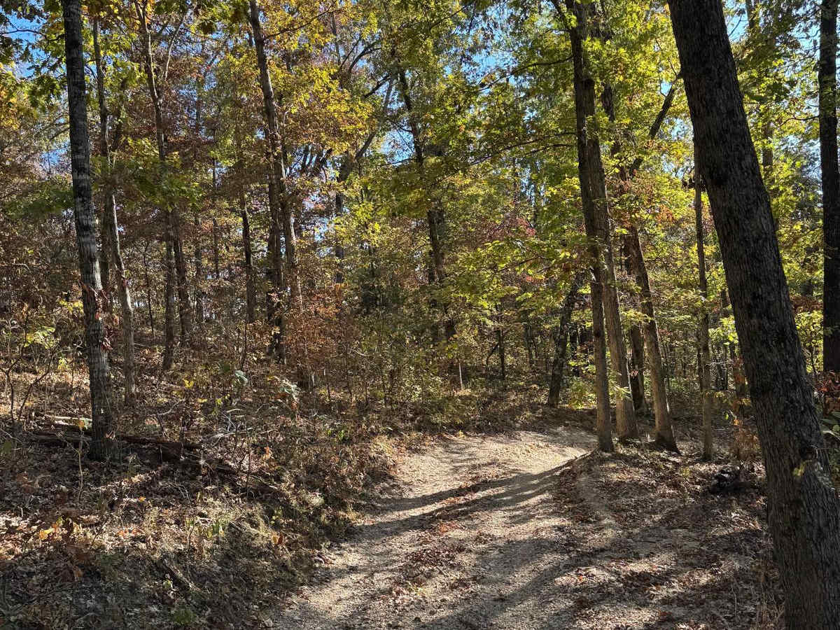 Power Wagon Trail 75 photo 3
