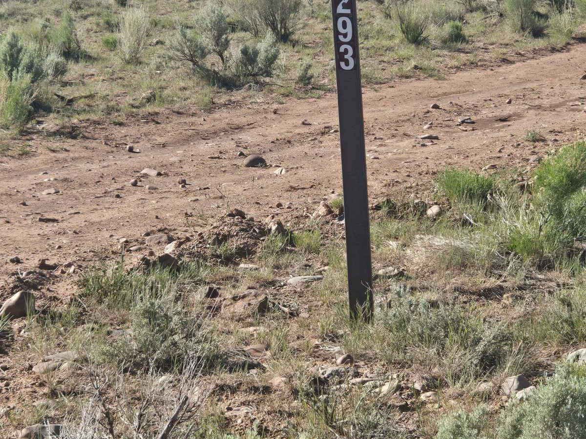 Gussie Draw Trail trail photo