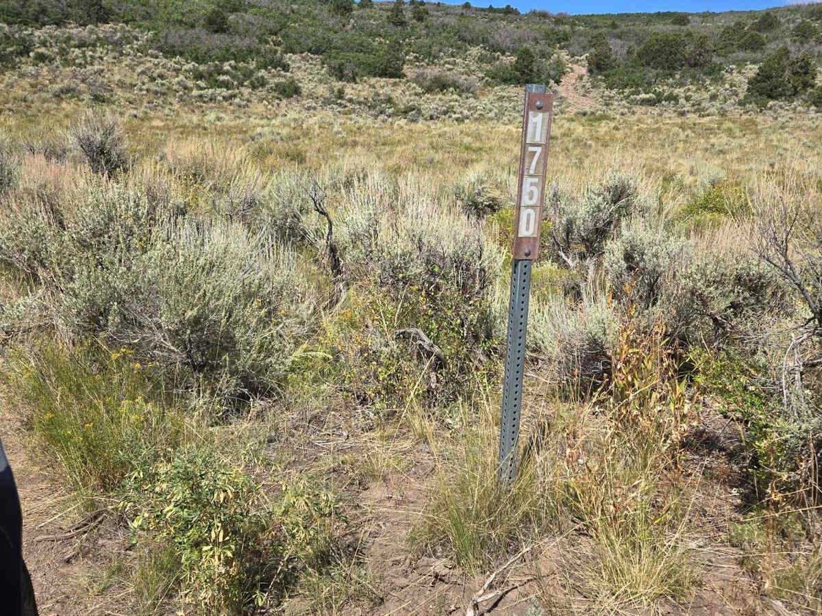 Trail 4994 - FSR 41750 trail photo