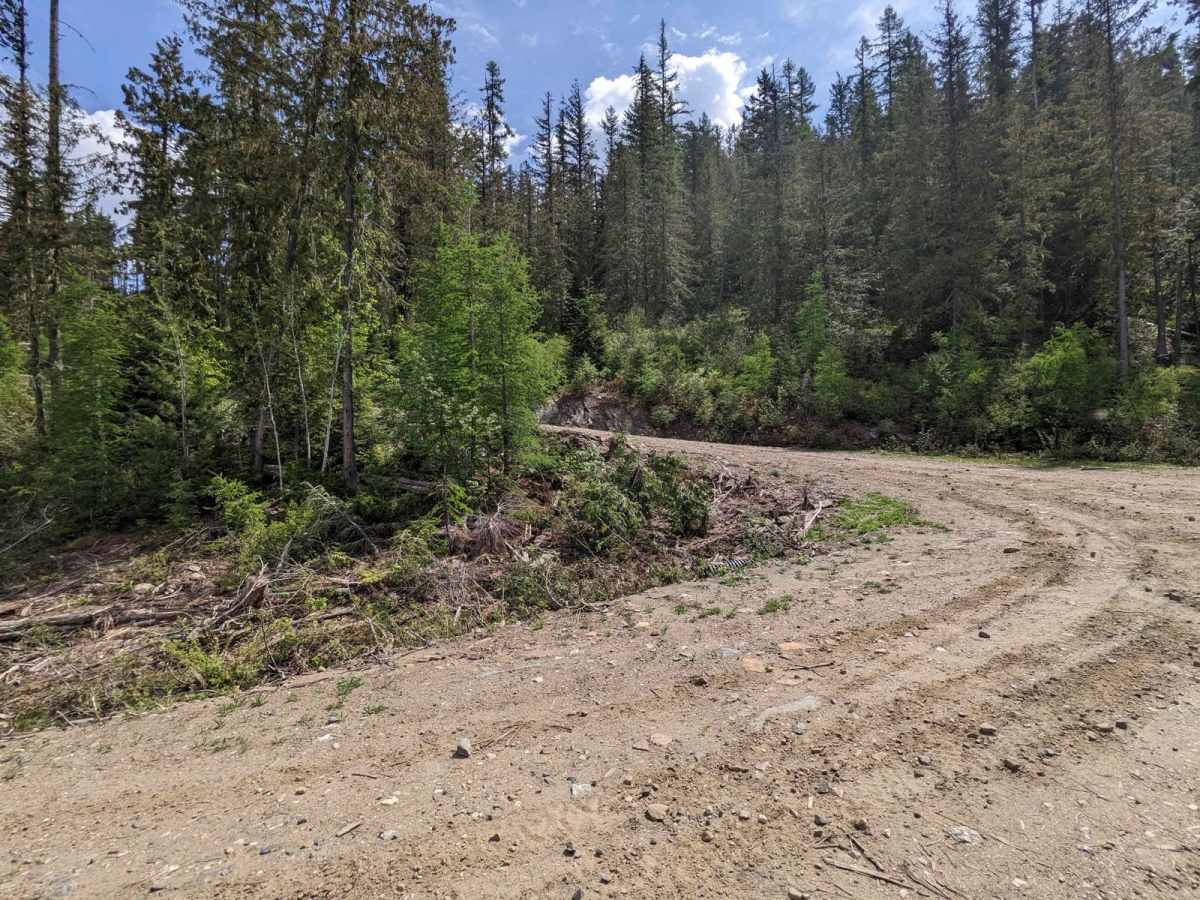 Loki Mountain Trail Head photo 2