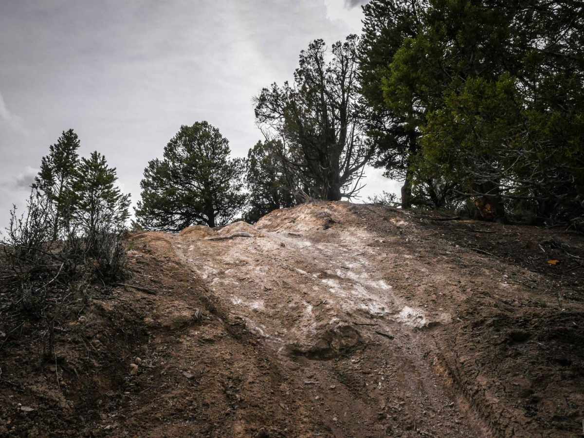 8385-D trail photo